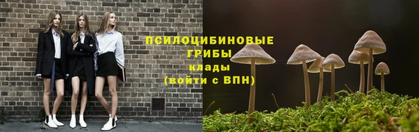PSILOCYBIN Магас