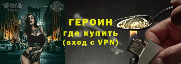 прущие грибы Магадан