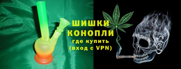 PSILOCYBIN Магас