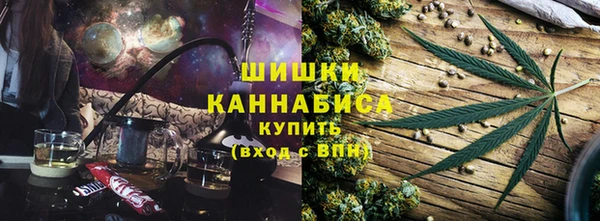 PSILOCYBIN Магас