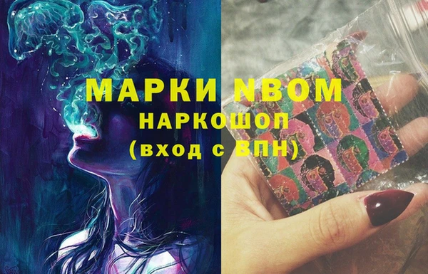 прущие грибы Магадан