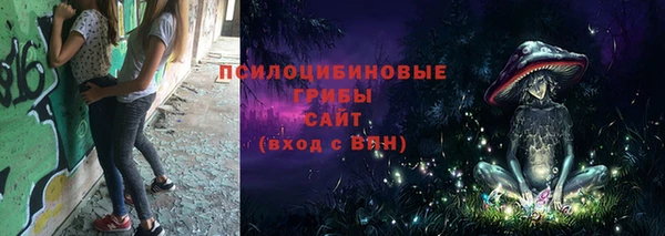 прущие грибы Магадан