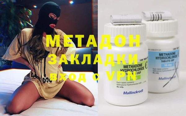 прущие грибы Магадан