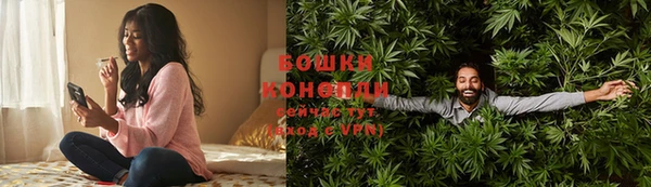 PSILOCYBIN Магас