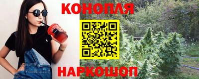 сатива Беслан