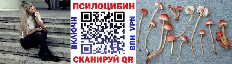 Псилоцибиновые грибы Cubensis  Миасс 
