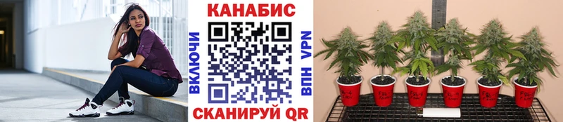 МЕГА ССЫЛКА  Миасс  Бошки Шишки AK-47 